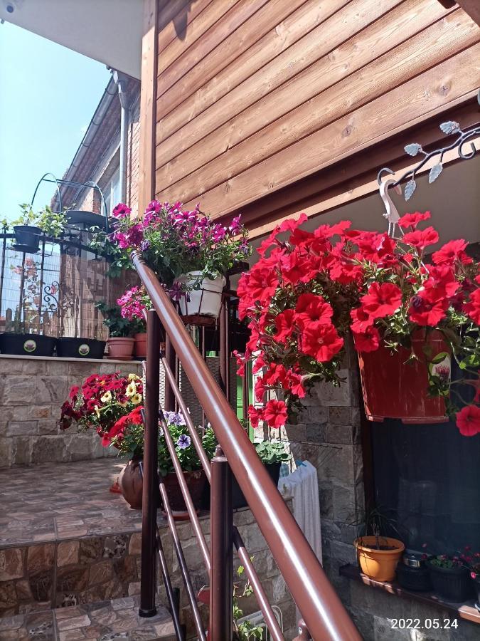 Damaris Hotel Созопол Екстериор снимка