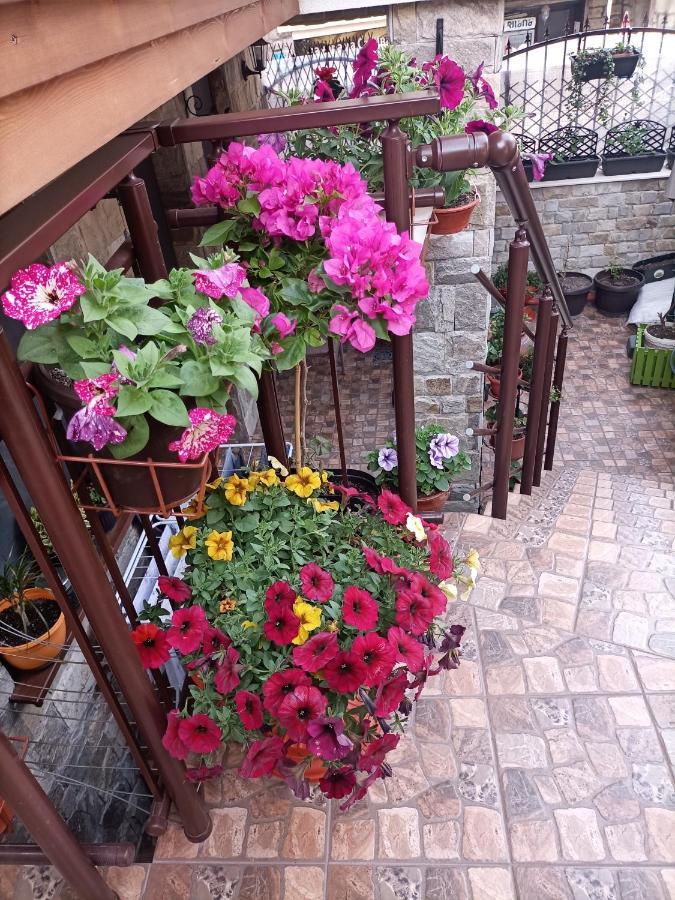 Damaris Hotel Созопол Екстериор снимка